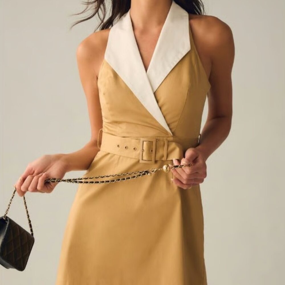 Anthropologie Hutch Sleeveless Collared Dress